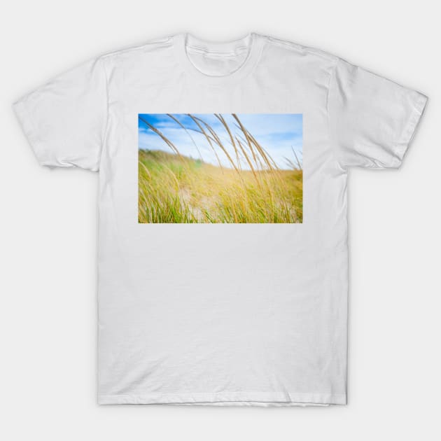 Abstract effect Marram grass blowing in wind.  imagine this on a  card or gracing your room as wall art fine art canvas or framed print on your wall T-Shirt by brians101